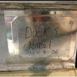 Ducks-cleaned
